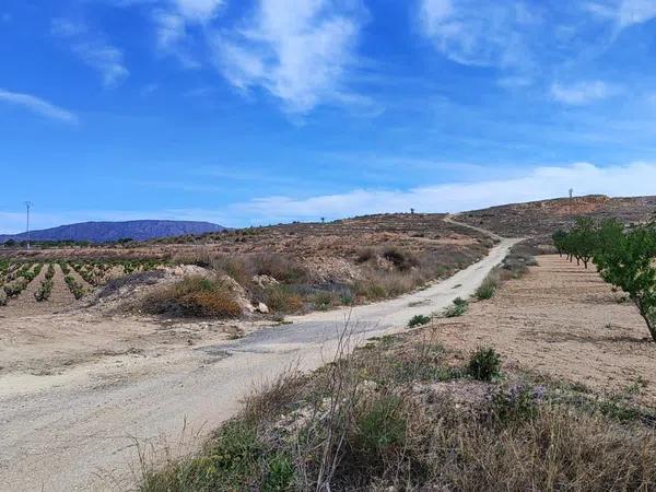 Terreno en poligono 10