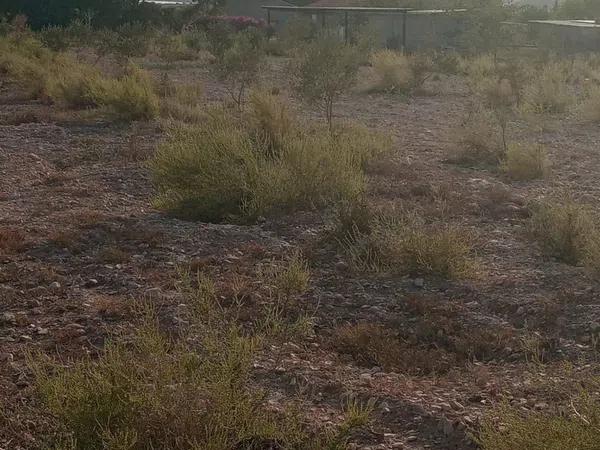 Terreno en calle Vicente Blasco Ibáñez