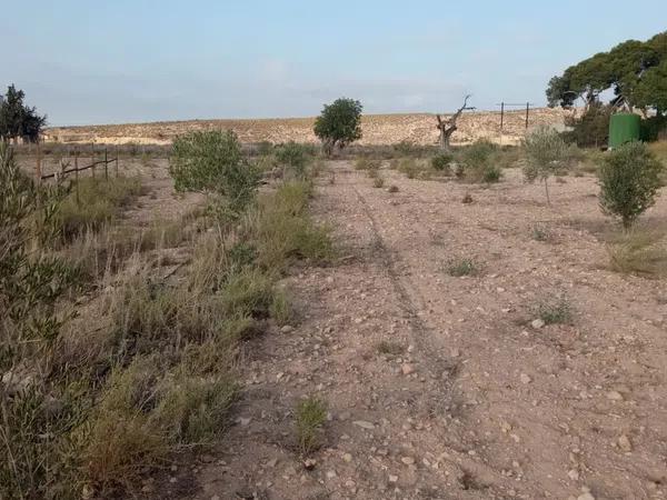 Terreno en calle Vicente Blasco Ibáñez