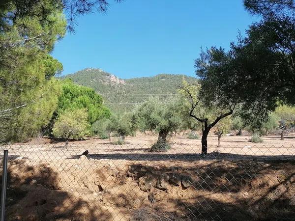 Terreno en carretera de bañeres Cv-804 s/n