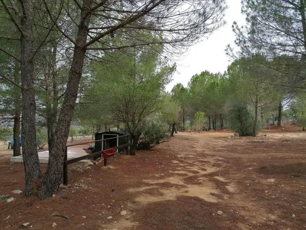 Terreno en carretera de bañeres Cv-804 s/n