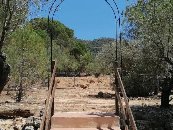 Terreno en carretera de bañeres Cv-804 s/n