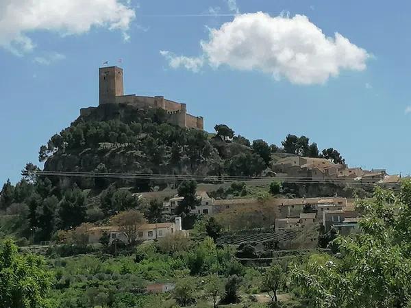 Terreno en carretera de bañeres Cv-804 s/n