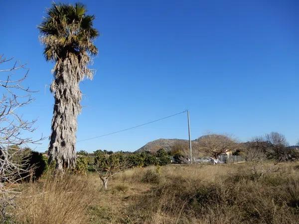 Terreno en La Xara - La Sella - Jesús Pobre