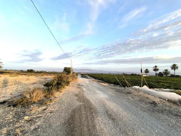 Terreno en La Marina