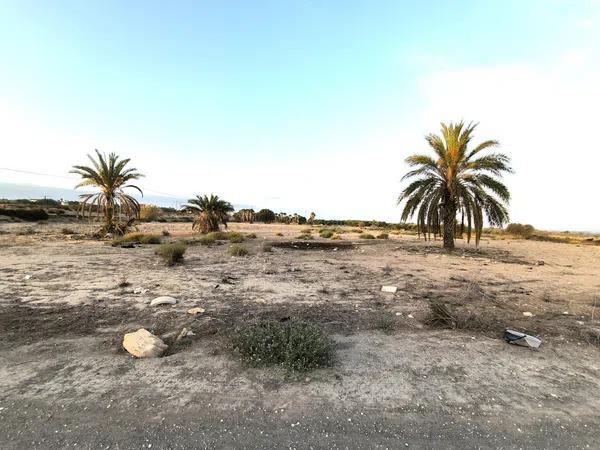 Terreno en La Marina