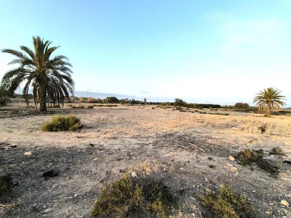 Terreno en La Marina