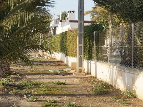 Terreno en Alzabares