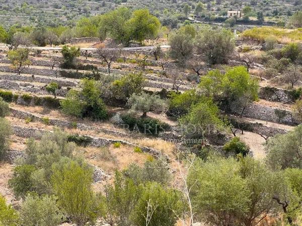 Terreno en Vall de Laguart