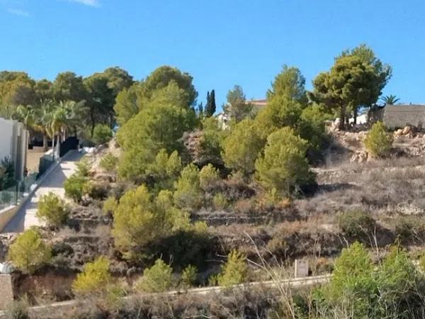 Terreno en La Fustera