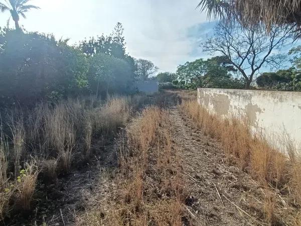 Terreno en calle Io