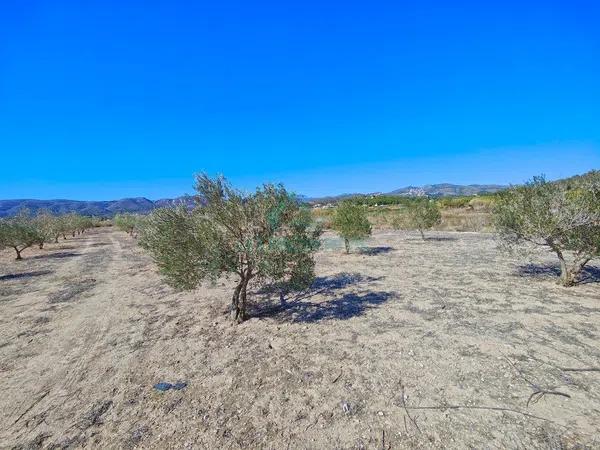 Terreno en La Xara - La Sella - Jesús Pobre