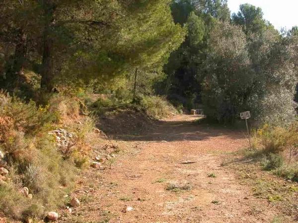 Terreno en Callosa d'En Sarria