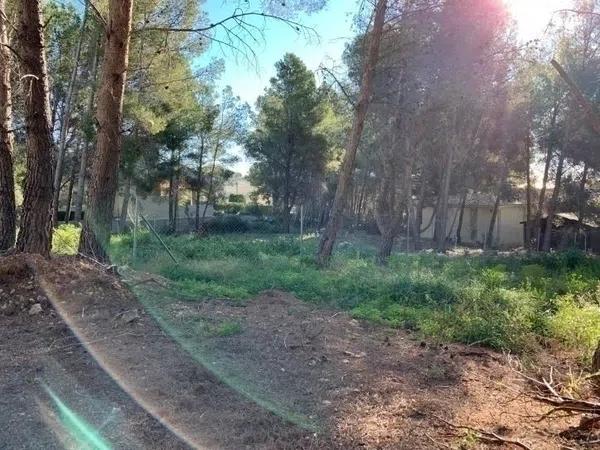 Terreno en Callosa d'En Sarria