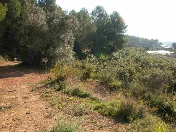 Terreno en Callosa d'En Sarria