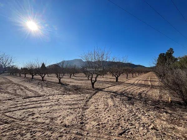 Terreno en Parcela 52