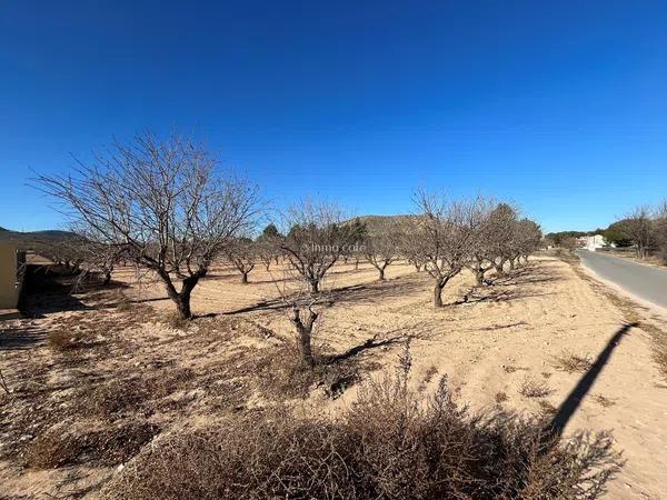 Terreno en Parcela 52