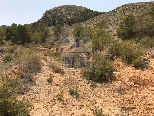 Terreno en Montepinar-La Aparecida-Raiguero