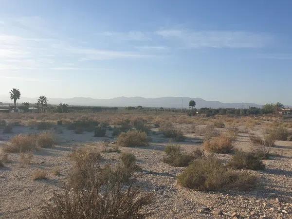 Terreno en Partida de La Marina, 121