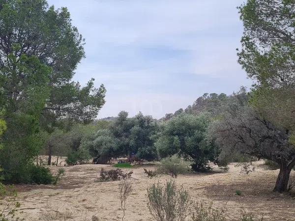 Terreno en avenida Pianista Gonzalo Soriano, 26