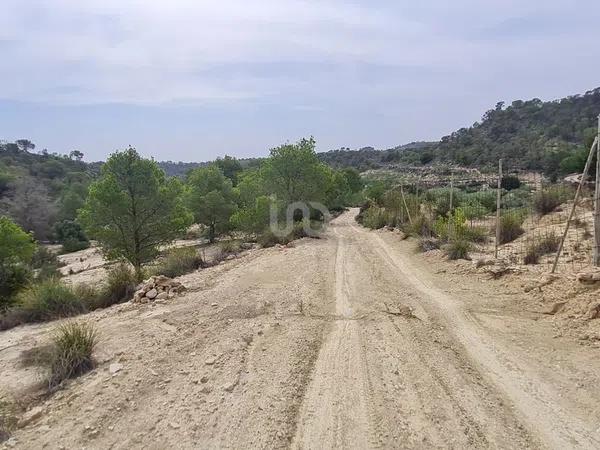 Terreno en avenida Pianista Gonzalo Soriano, 26