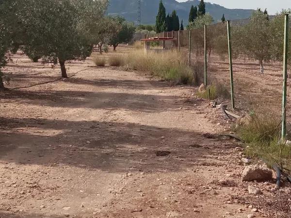 Terreno en camino Canyada