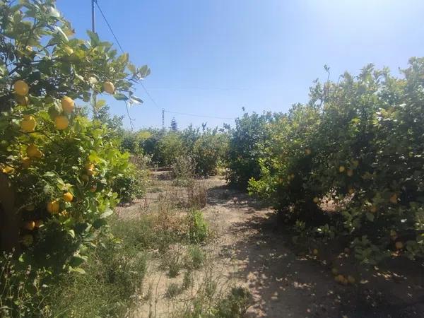 Terreno en calle Partida s/n