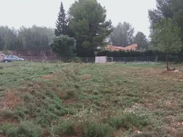 Terreno en Partida de la Plana, 22