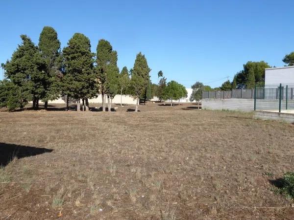 Terreno en calle Alcipe