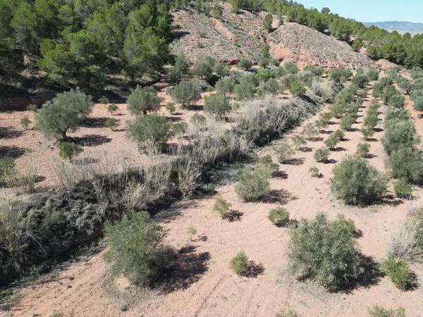 Terreno en Pinoso