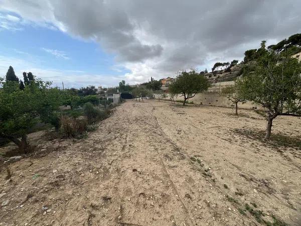 Terreno en calle Palmera