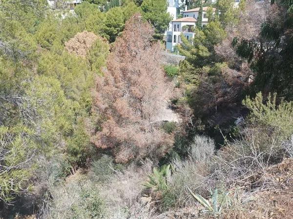 Terreno en Altea Hills