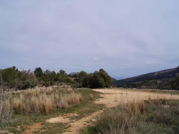 Terreno en Casa Escales s/n