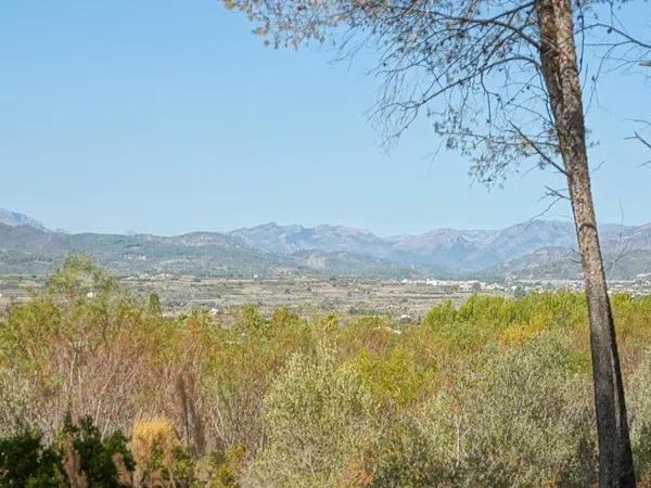 Terreno en Montgó - Ermita