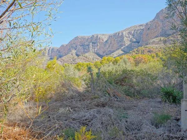 Terreno en Montgó - Ermita