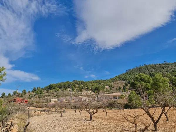 Terreno en Pinoso