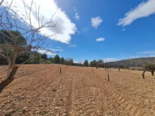 Terreno en Pinoso