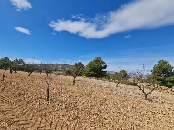 Terreno en Pinoso