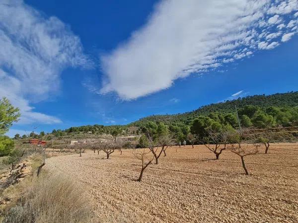 Terreno en Pinoso