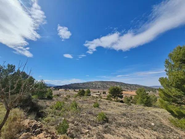 Terreno en Pinoso