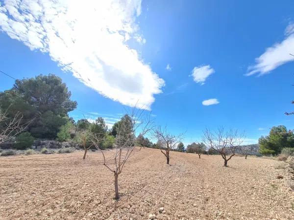 Terreno en Pinoso