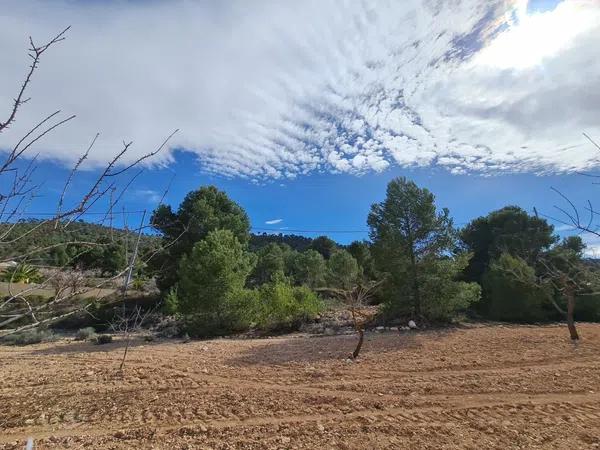 Terreno en Pinoso