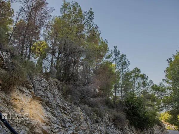 Terreno en calle Principal de la Serra