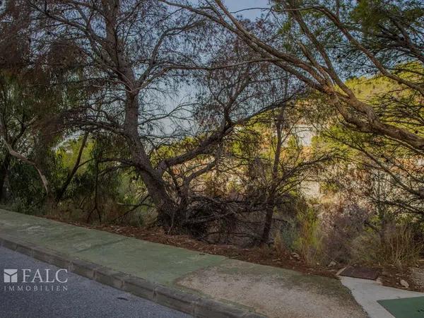 Terreno en calle Principal de la Serra