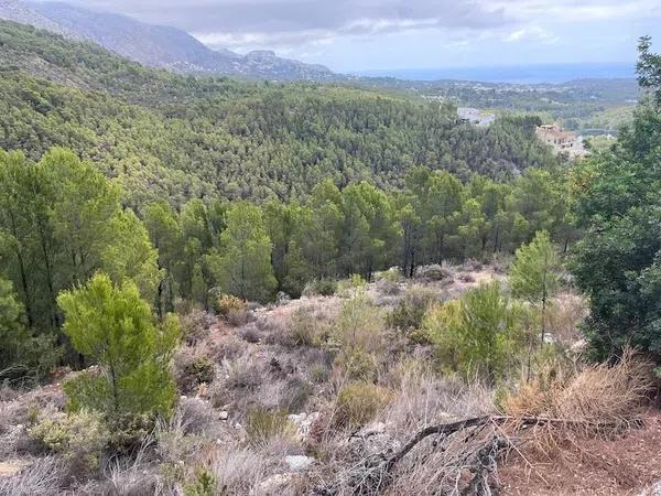 Terreno en calle Palmera