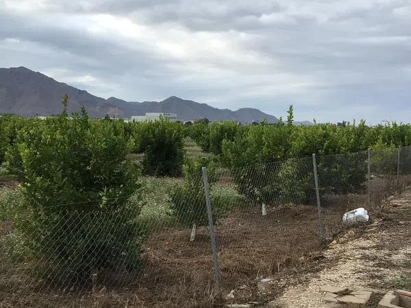 Terreno en camino Almarjaleta, 22 -28