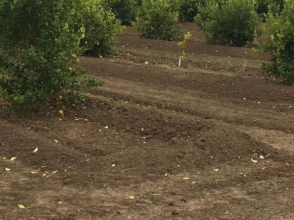 Terreno en camino Almarjaleta, 22 -28