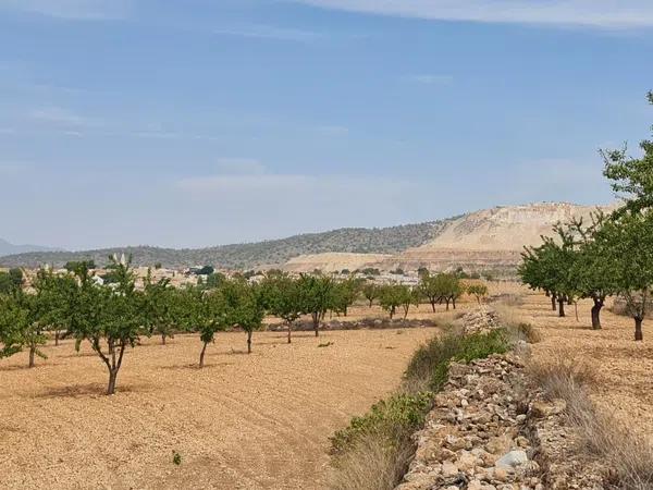 Terreno en Algueña