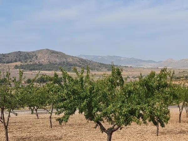 Terreno en Algueña