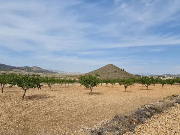 Terreno en Algueña